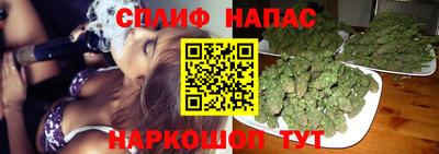 молекула духа Краснознаменск