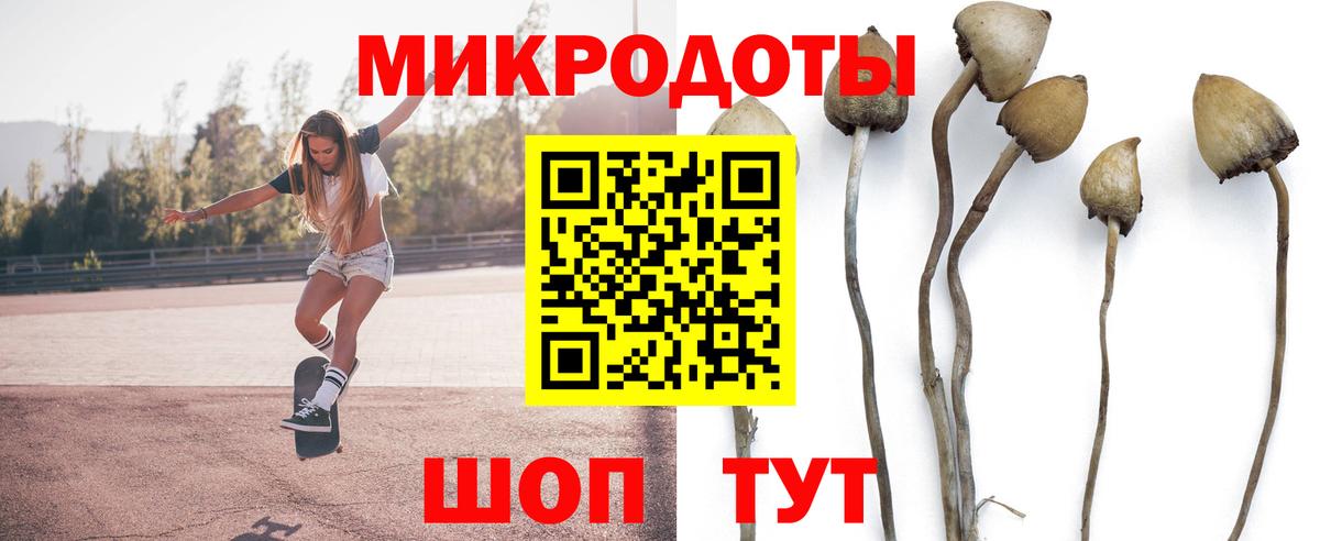 Псилоцибиновые грибы Cubensis Кировск